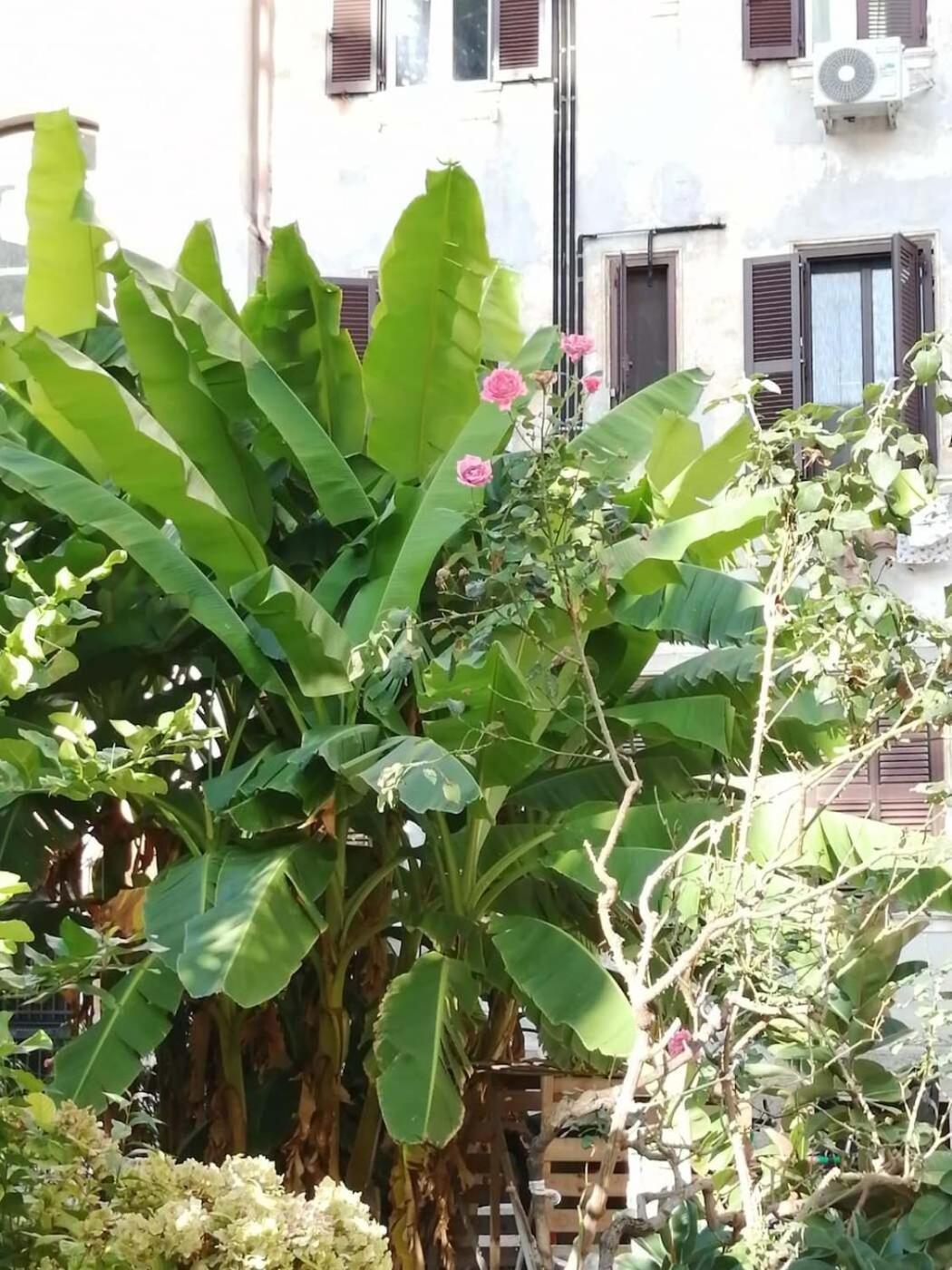 Il Cortile - Nel Cuore Di Testaccio * Rom