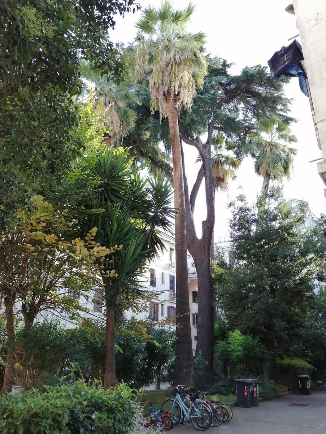 Il Cortile - Nel Cuore Di Testaccio * Rom